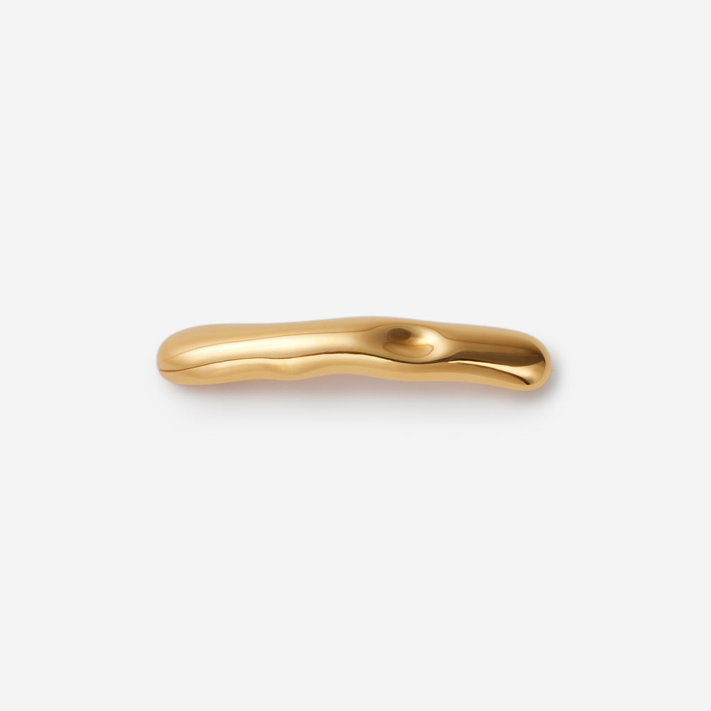 Sinuous Hair Clip